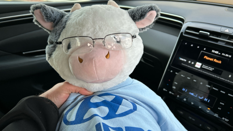 Hyundai TUCSON 1.6 TGDi Plug-in Hybrid Premium 5dr 4WD Auto Estate